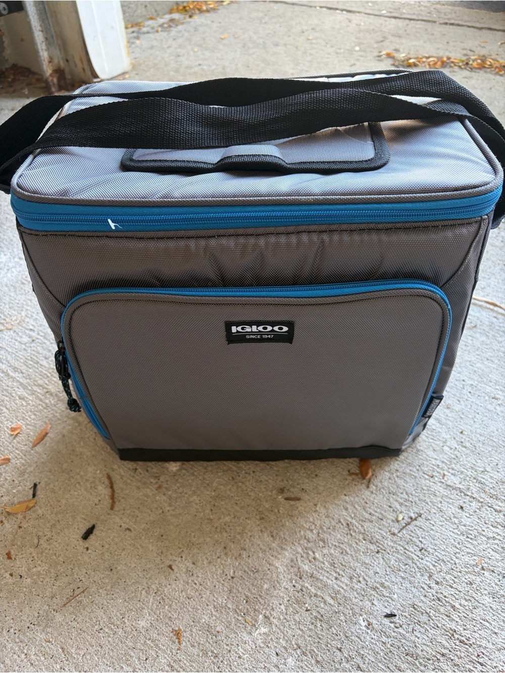 Igloo Portable Cooler Bag - shoulder strap, lid access - like new